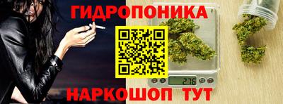 дурь Кингисепп