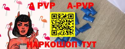дурь Кингисепп